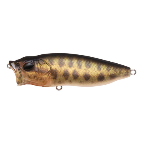 Megabass Pop X